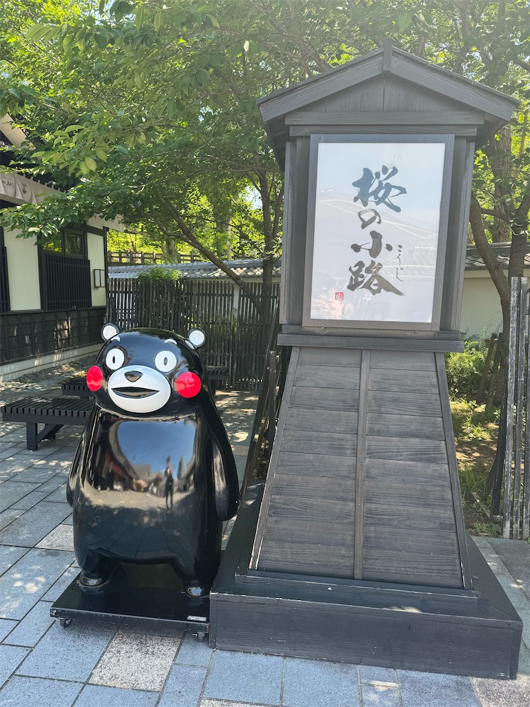 f:id:utane_channel:20240609235055j:image